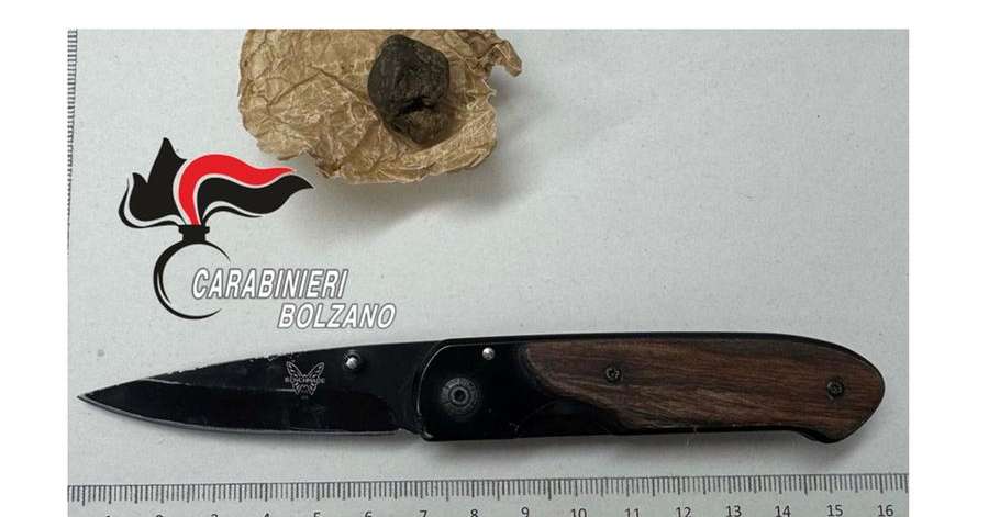 Laives, due giovanissimi nei guai: i Carabinieri sequestrati un coltello e dell’hashish – Cronaca Laives, due giovanissimi nei guai: i Carabinieri sequestrati un coltello e dell’hashish - Cronaca