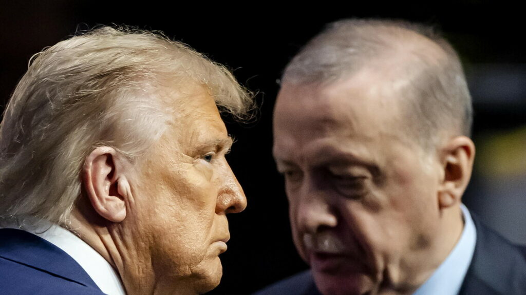 Vertice Nato: ‘Gli alleati si impegnano ad investire il 5%’. Trump: ‘Spagna terribile, le faremo pagare dazi doppi’ – Notizie Vertice Nato: 'Gli alleati si impegnano ad investire il 5%'. Trump: 'Spagna terribile, le faremo pagare dazi doppi' - Notizie