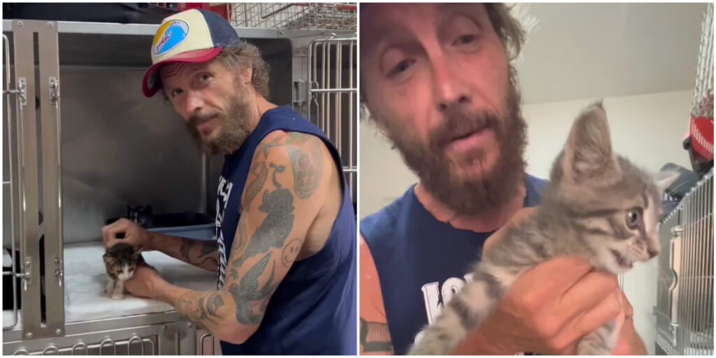“Adottare un animale scelta consapevole, perché voi salverete lui, ma sarà lui a salvare voi”: l’appello di Jovanotti per i gatti abbandonati "Adottare un animale scelta consapevole, perché voi salverete lui, ma sarà lui a salvare voi": l'appello di Jovanotti per i gatti abbandonati