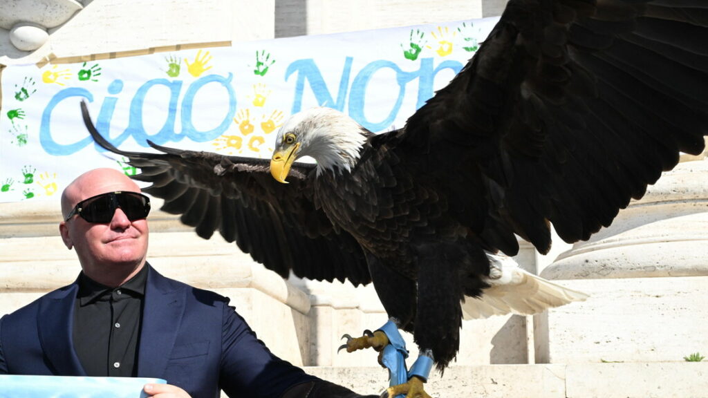 Calcio: Lazio; l'ex falconiere Bernabè sfrattato da Formello - Calcio