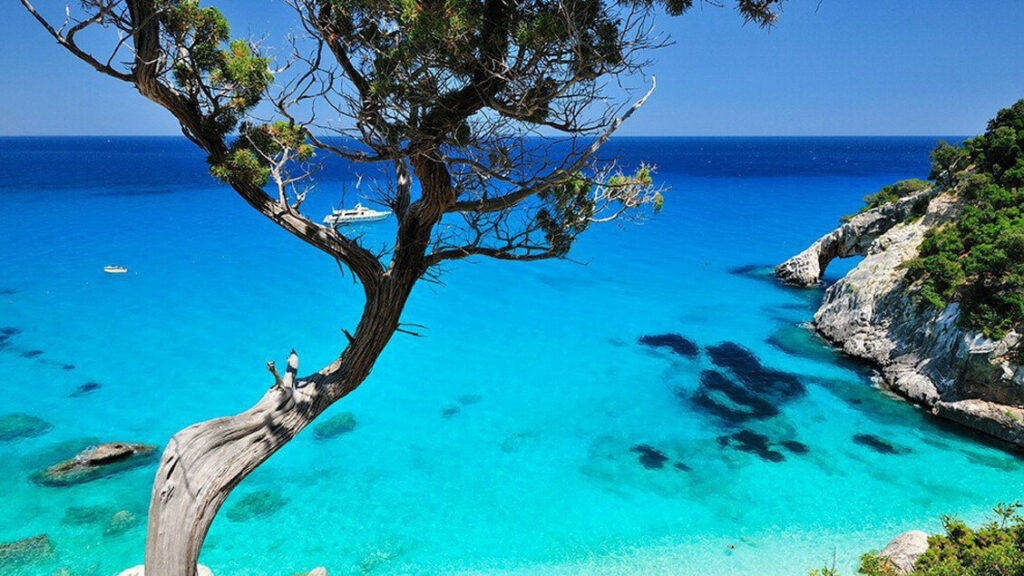Caro-voli per la Sardegna, come andare a New York – Notizie Caro-voli per la Sardegna, come andare a New York - Notizie