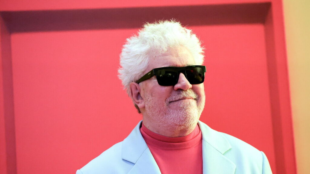 Da Almodovar a Cercas, la cultura spagnola si mobilita per Gaza - Cinema