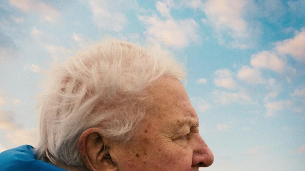 I Segreti dell’Oceano con David Attenborough arriva l’8 giugno – Tv I Segreti dell'Oceano con David Attenborough arriva l'8 giugno - Tv
