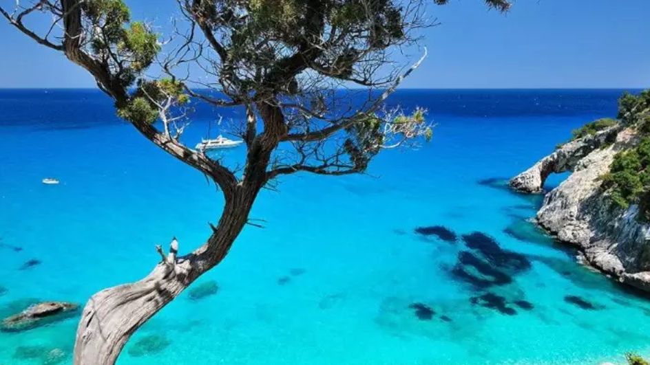 Le 22 spiagge 5 Vele del 2025 più pulite e sostenibili d’Italia Vanity Fair Italia