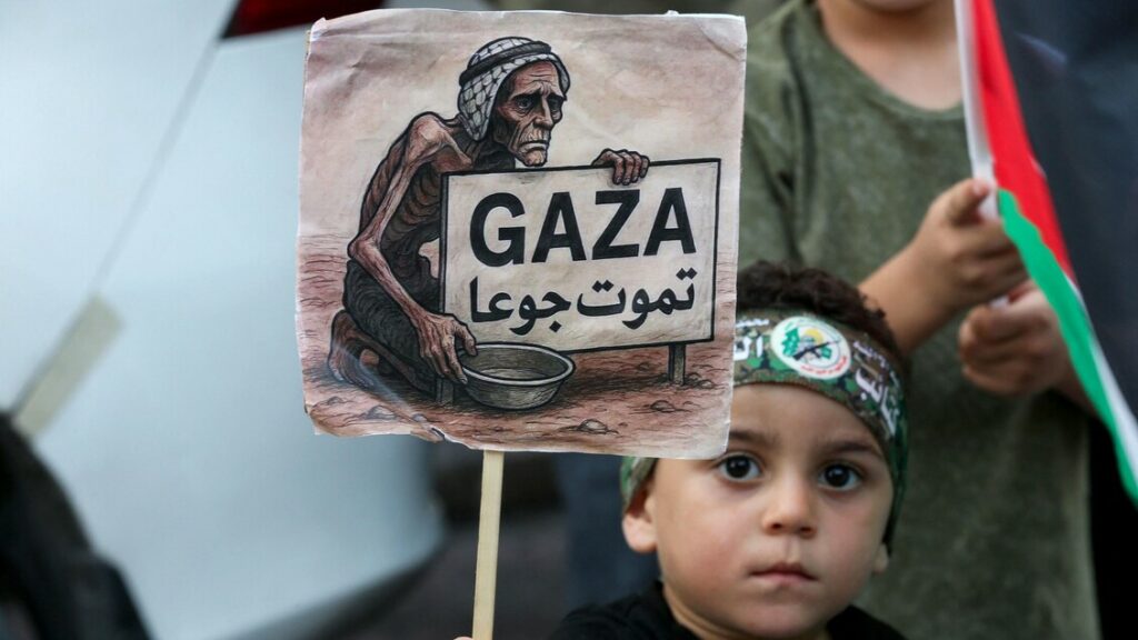 Gaza alla fame: ‘Morti tre bimbi, 100.000 a rischio’. Dall’esercito ok al lancio di aiuti umanitari – Notizie Gaza alla fame: 'Morti tre bimbi, 100.000 a rischio'. Dall'esercito ok al lancio di aiuti umanitari - Notizie