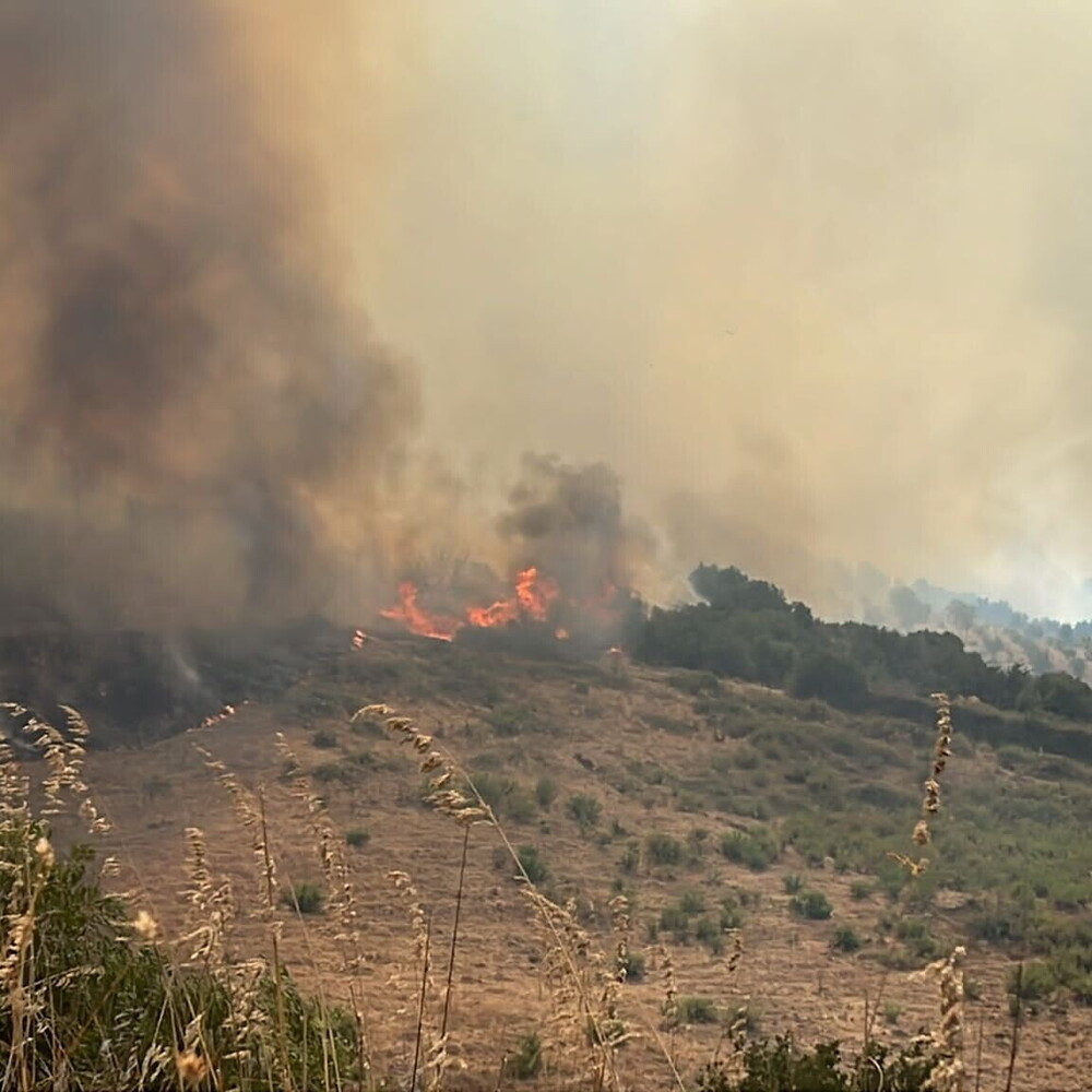 Incendio a Manfredonia, 800 ettari in fiamme nell’Oasi Incendio a Manfredonia, 800 ettari in fiamme nell’Oasi