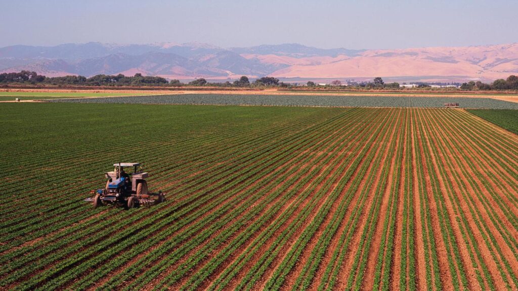 Produzione agricola e ittica +14% in dieci anni Produzione agricola e ittica +14% in dieci anni