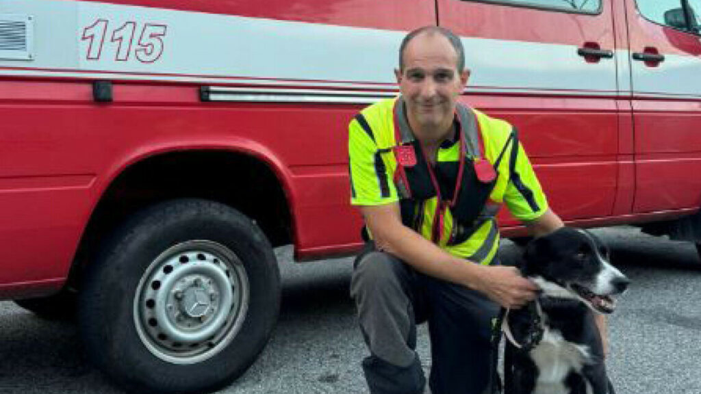 Giovane scomparsa ritrovata viva dal cane Teo, era in una scarpata - Notizie