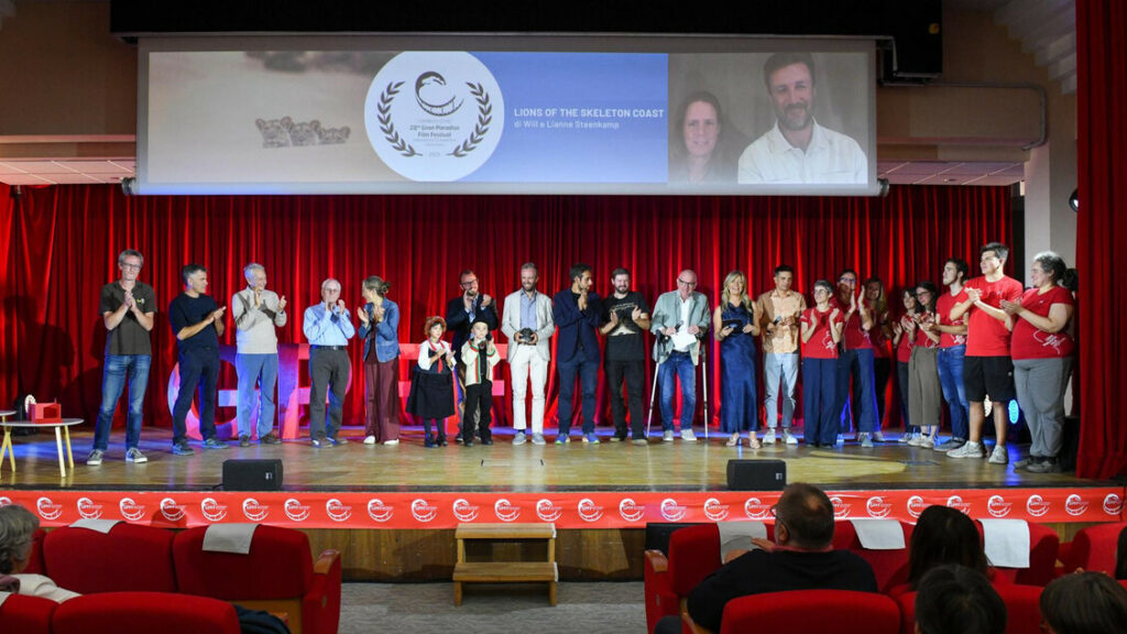 Gran Paradiso Film Festival, vince ‘Lions of the Skeleton Coast’ – Cinema Gran Paradiso Film Festival, vince 'Lions of the Skeleton Coast' - Cinema