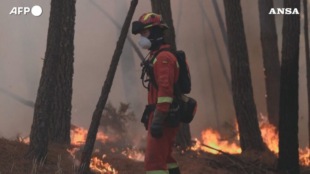 Incendi in Spagna, le fiamme avvolgono i boschi: enormi nuvole di fumo visibili dall’alto. Le impressionanti immagini Incendi in Spagna, le fiamme avvolgono i boschi: enormi nuvole di fumo visibili dall’alto. Le impressionanti immagini