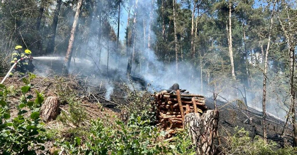 Incendio boschivo a Vandoies: domato tempestivamente, attiva la vigilanza notturna – Cronaca Incendio boschivo a Vandoies: domato tempestivamente, attiva la vigilanza notturna - Cronaca