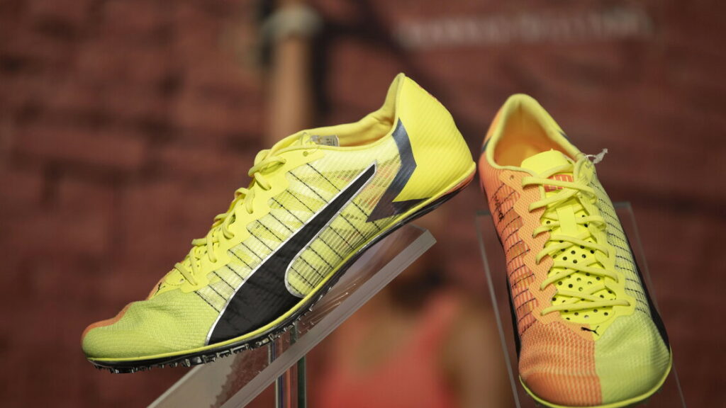 Puma chiude brillante in borsa dopo voci su mosse Pinault, +16% - Notizie