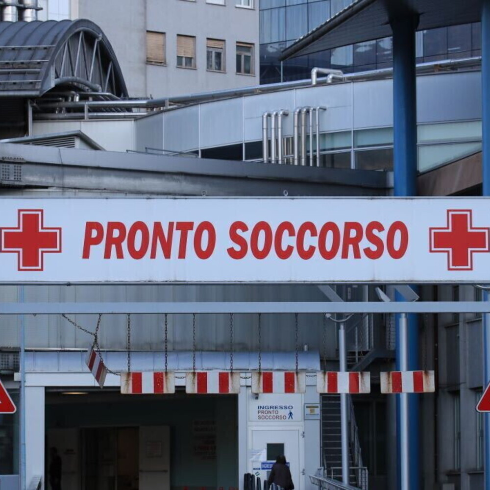 Quattro nuovi casi di West Nile vicino Novara Quattro nuovi casi di West Nile vicino Novara