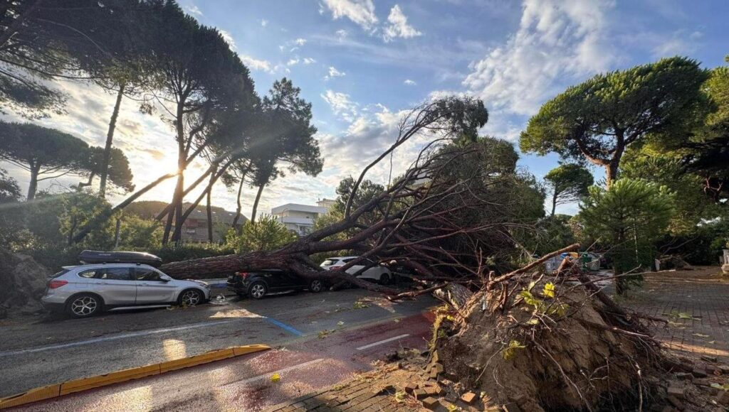 Violento nubifragio sulla Romagna: grandine, strade allagate, alberi abbattuti, treni sospesi