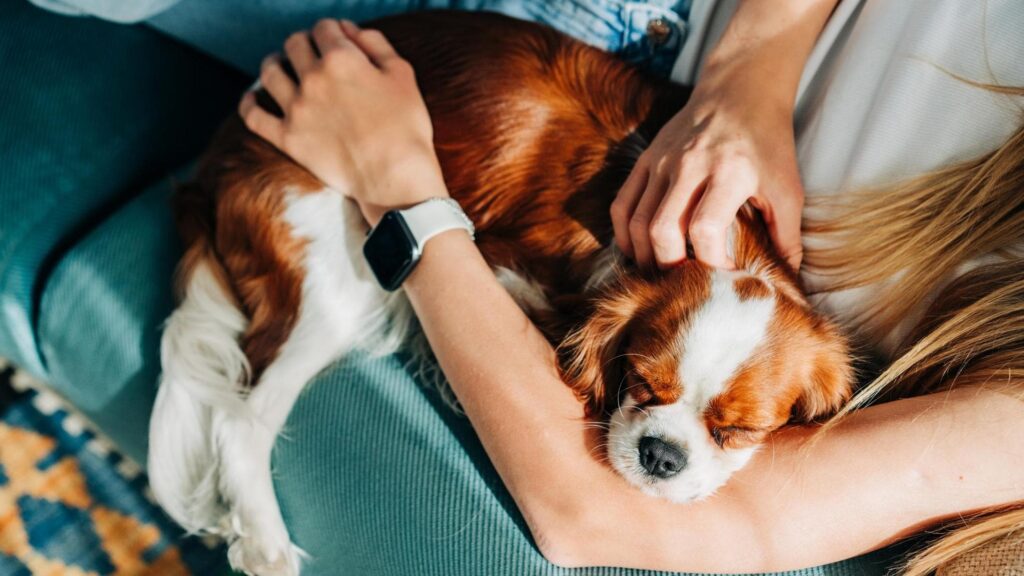 ‘Pet lover’ alfieri della sostenibilità diffusa
