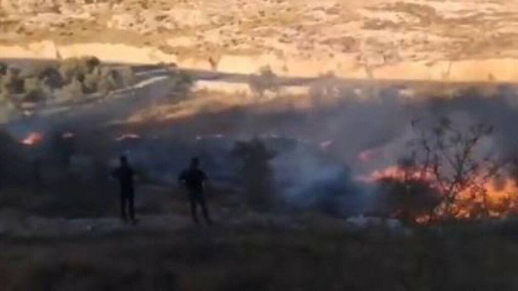 'Coloni di Israele incendiano decine di ettari a nord di Hebron' - Notizie