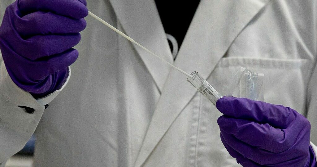 Parkinson e Alzheimer, scoperta la proteina che previene la neurodegenerazione