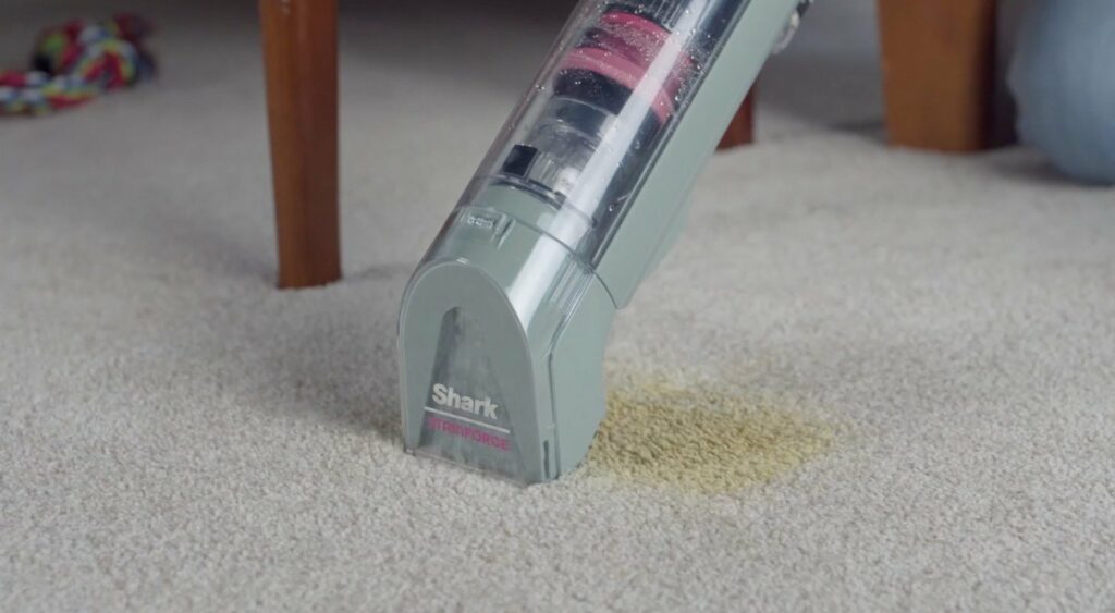 Shark Stainforce Elimina le Macchie Più Ostinato: è Wireless E Costa 199 $