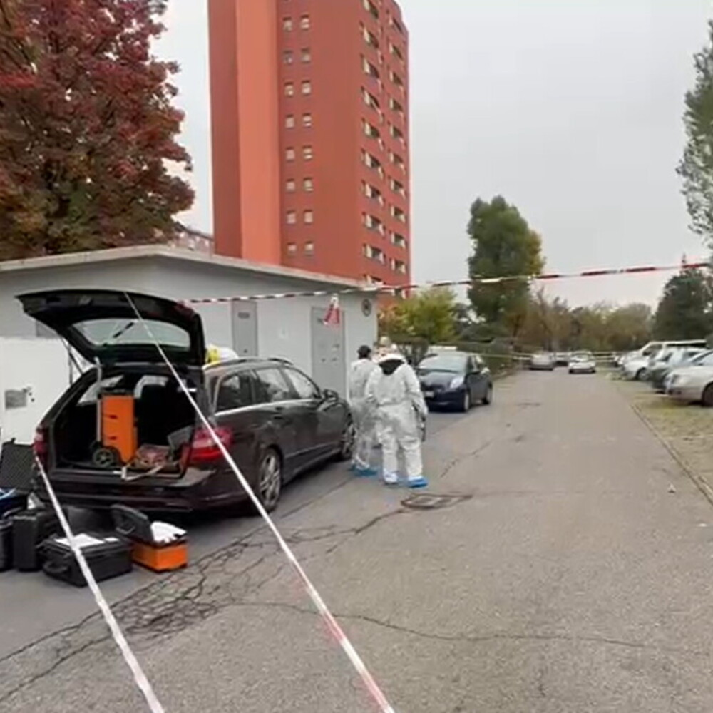 Accoltellata al volto, è gravissima in ospedale. Si cerca l'ex marito Accoltellata al volto, è gravissima in ospedale. Si cerca l'ex marito