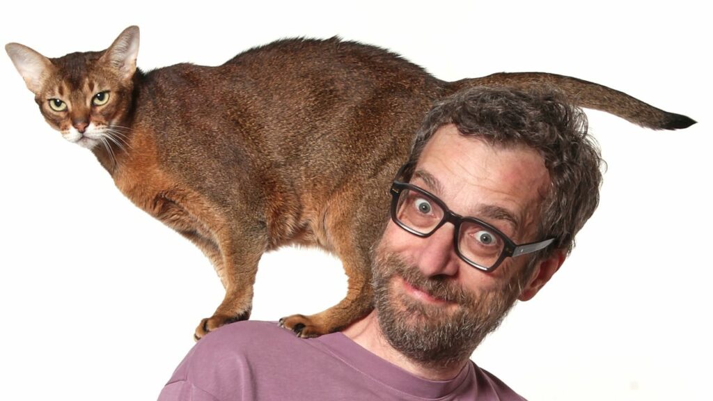 Matteo Bordone e l’insegnamento del gatto: «Vedere un essere che se ne sbatte ed è serenamente se stesso è rassicurante» Vanity Fair Italia