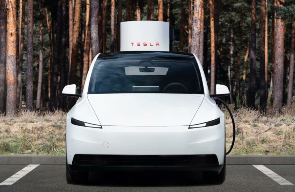 Tesla Model Y Standard: scende in campo e le ha tutte contro. Top e Flop - News