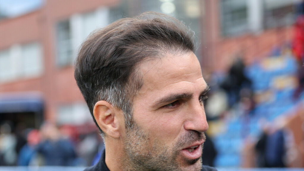 Como: Fabregas, serve attenzione contro un Toro ben organizzato - Calcio