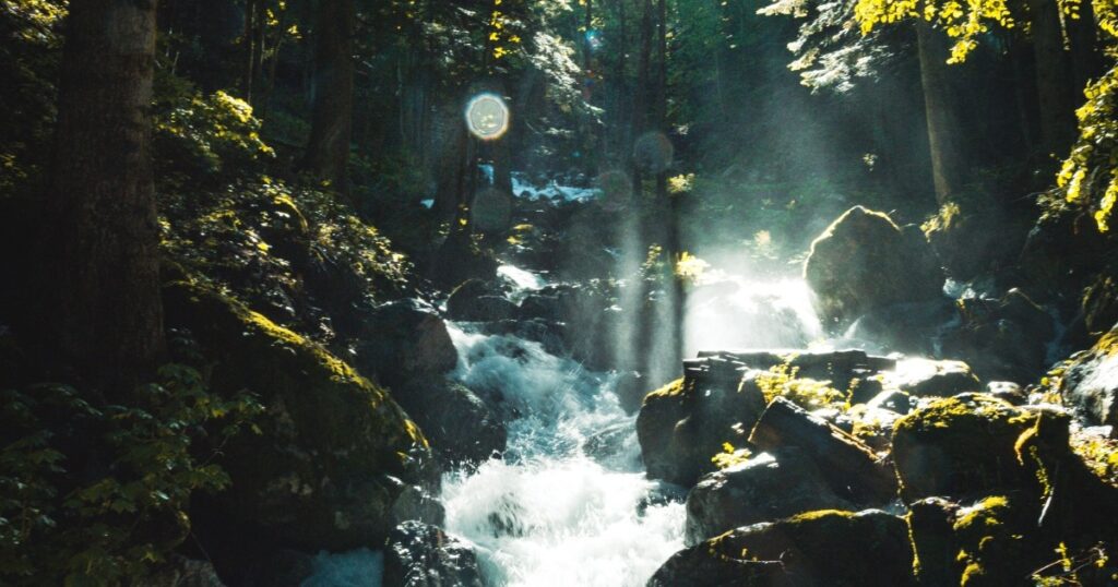 Vado a vivere in montagna: 10. La conclusione del viaggio