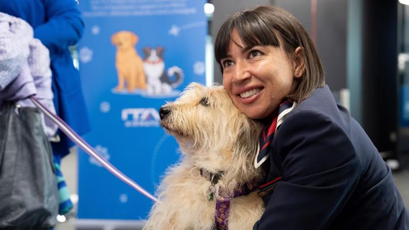 ITA Airways to allow large dogs in cabin on domestic flights in Italy ITA Airways to allow large dogs in cabin on domestic flights in Italy