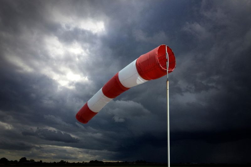 Rome shuts parks due to high winds Rome shuts parks due to high winds