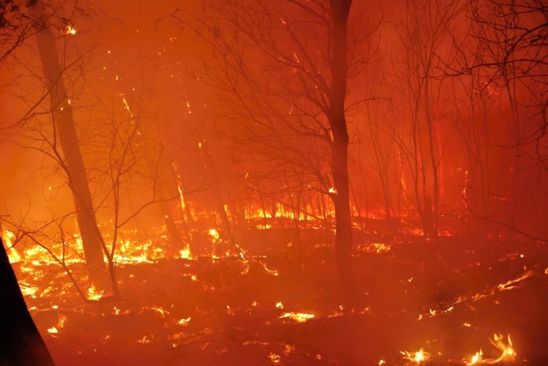 Forest fire rages in Tuscany, thousands evacuated Forest fire rages in Tuscany, thousands evacuated